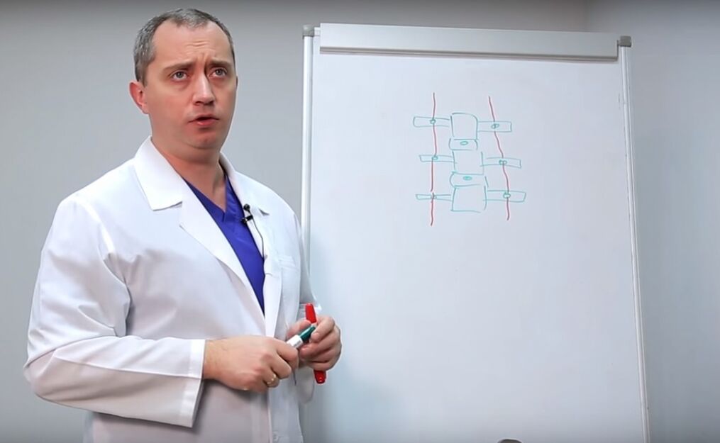 Az orvos megmutatja a gerinc szerkezetét